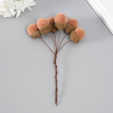 Flowers for decorating 