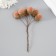 Flowers for decorating "clap" beige 1 bouquet = 6 branches d = 2 cm 11 cm