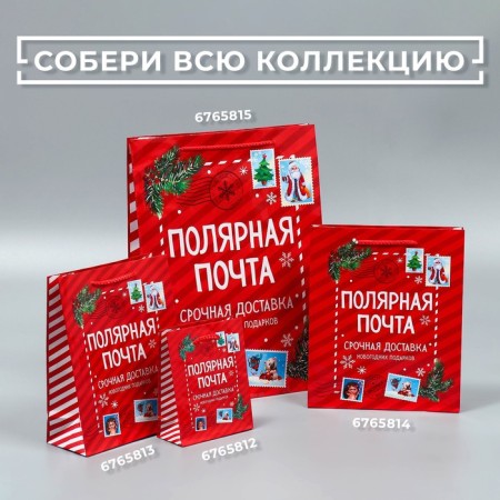 Packet Laminated Vertical Polar Mail, L 28 x 38 x 9 cm, New Year-6