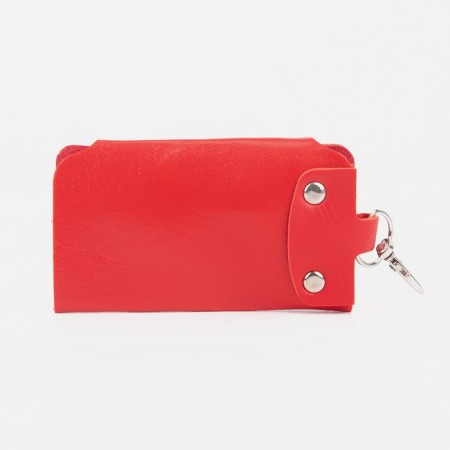 Key on the buttons, length 11 cm, 7 carabiners, red color-1