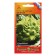 Seeds Cabbage Color "Shanno", 12 pcs.