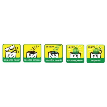 Set for growing “grow me” “minions” “Otto” (Doy-Pak)-4