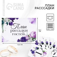 The plan for the seeding of guests at the wedding 