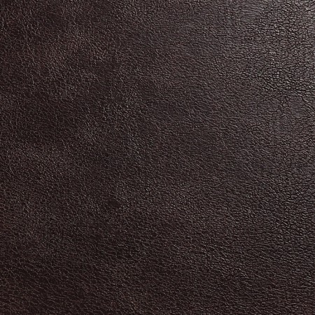 Diary Nedtir A5 160l Escalada, TV Region, Light claim, Las, tone BL 70g/m2, brown-3