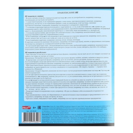 Notebook 48 sheets in the Error line "Russian language", cover covered paper, OFSET block-4
