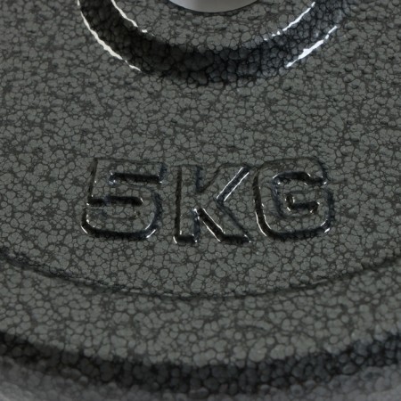 5 kg disc, d = 29 mm-2