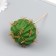 Artificial plant for creativity "Cactus Hymnocalcyium" 8x10.5 cm long 16 cm