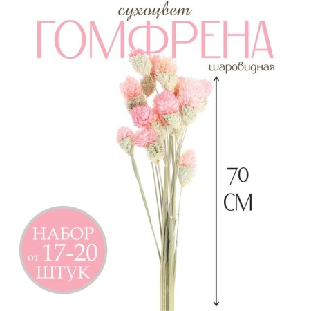 Sukhotzet "Gomprane Sherrovid" set - from 17 to 20 pcs., Pink color-2