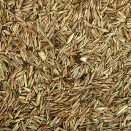 Lawn "Beauty", "Children", 1 kg-3
