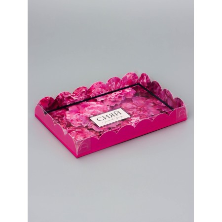 Cookie box, confectionery packaging, "shine", 22 x 15 x 3 cm