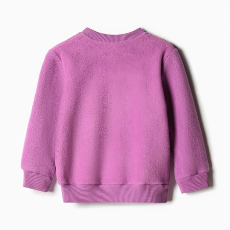 Kit for children (sweatshirt, trousers), purple color, height 92 cm-4
