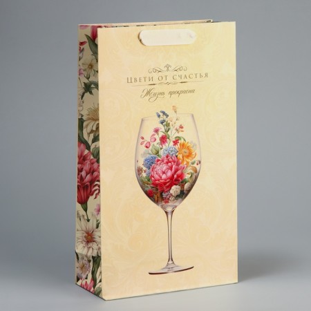 Gift package for two bottles, packaging, “Blow with happiness”, 35 x 20 x 9 cm