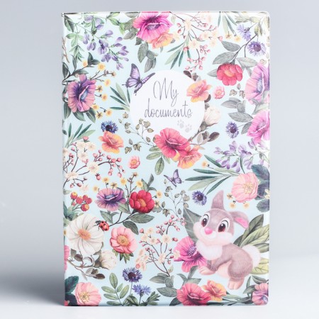 Folder for documents, Disney, 8 files, a4-1