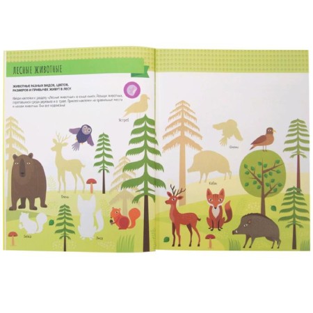Montescorori method. Development through the game. In the forest. Activities with stickers, Piroddy K.-2