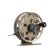 Curlar Namazu Eagle, aluminum, 2 bearings, 6.5 cm