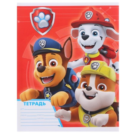 A set of first grader in the folder, puppy patrol, 25 items-6
