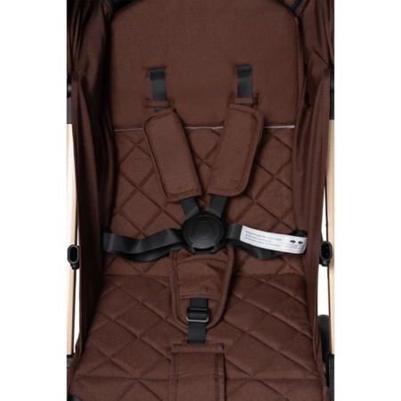 Walking stroller Farfello Comfy Go CG, Choco color-11