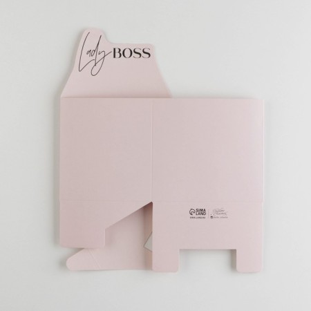 Box boxes "Lady Boss", 12 × 20 × 10 cm-5