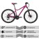 Bicycle 26 "Stinger Laguna Pro, pink color, p. 15"