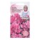 Petunia flowers "Cascade Pink Taustic", 10 pcs