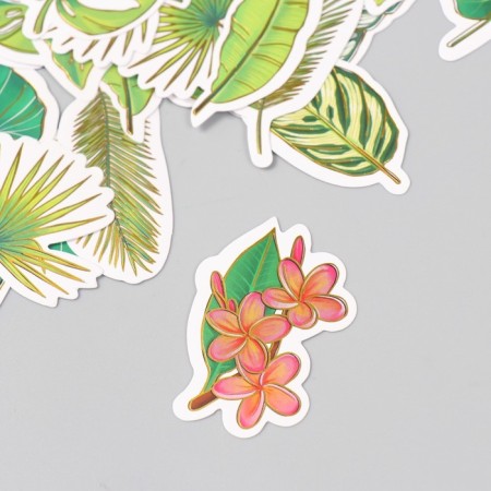 Stickers for creativity "Exotic leaves" embossing gold set 48 pcs 9x7x0.8 cm-3