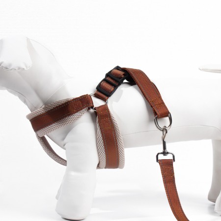 The ammunition set is soft, reflective, leash 120 x 2 cm, Osh 46-69 cm, brown-4