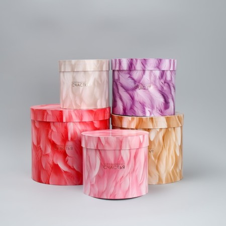 Set of hats 5 in 1, gift packaging, “feathers”, 13 x 14 - 19.5 x 22 cm-2
