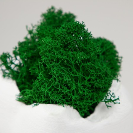 Concrete Kashpo "tooth" with moss white 7.5x6.5x9.5 cm (moss green stabilized)-5