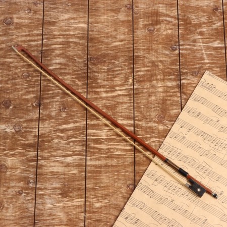 Music Life 1/2 High Quality, 62 cm violin
