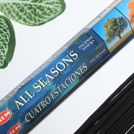Incense HEM "All Seasons. All Seasons", 20 wands in packaging, hexagon-1