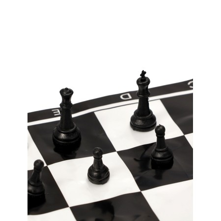 Chess 22 x 22 cm, King H-2.1 cm, d-0.9 cm, plastic figures-3