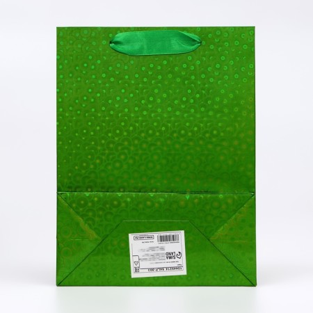 Packet Holography with a window, "green", s 23.5 x18 x 8.5 cm-1