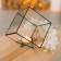 Florarium "Cube" Small (black seams)
