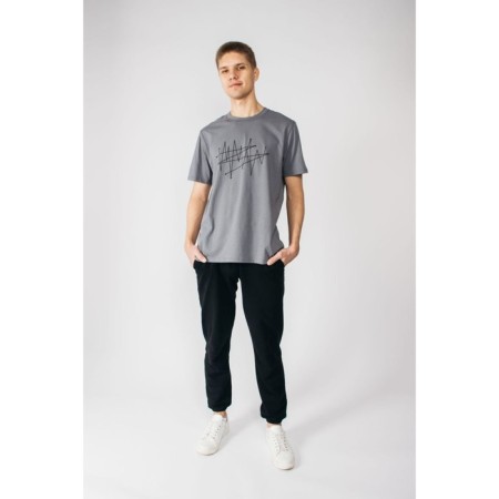 Male T -shirt, size 52, gray color