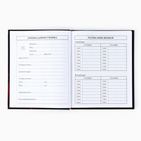 School diary for grade 1-11, in a solid cover, 40 l. "Dinosaur"-2