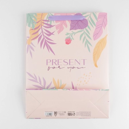 Gift laminated vertical, packaging, “Gift for you”, l 31 x 40 x 11.5 cm-4