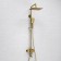 The shower system wasserkraft a155.198.201.bg, tropical shower, shower, gold