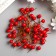 Decor for creativity "Red berry" set 50 pcs diam 0.8 cm