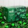 Garland “thread” 4.5 m with nozzles “balls”, IP44, dark thread, 30 LED, green glow, 2 modes, solar battery