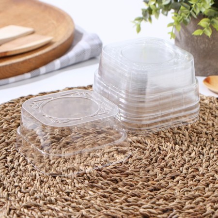 The set of plastic disposable containers did not forget! cover, 10 pcs-1