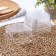 The set of plastic disposable containers did not forget! cover, 10 pcs