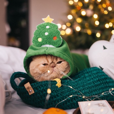 Animal costume "Christmas tree", size l, green-10