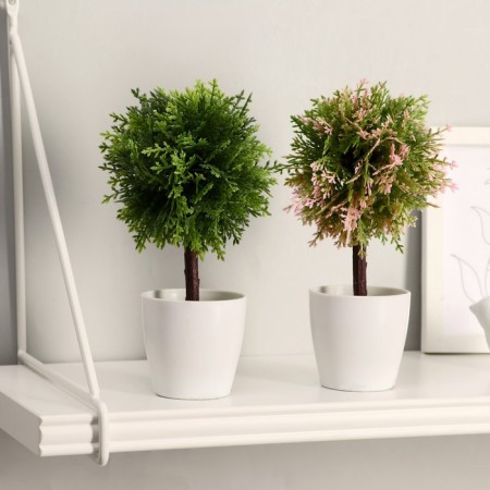 Bonsai in the pot of "leaflets-peaks" 20 cm, mix-2