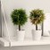 Bonsai in the pot of "leaflets-peaks" 20 cm, mix
