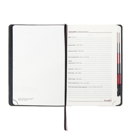 Dated 2025 diary, Escalada, A4, 120 sheets, soft cover, artificial leather, foil embossing, liesse, block 70 g/m2, blue-5