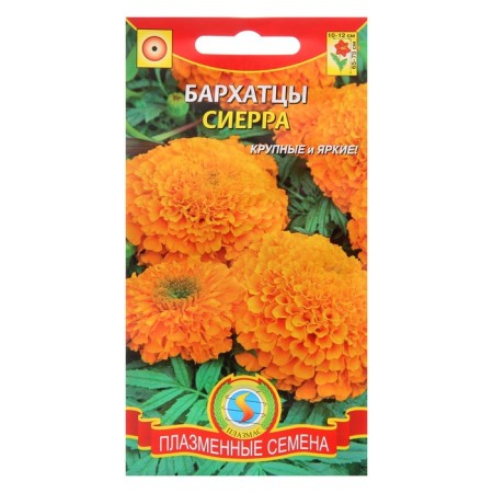 Seeds of velvets erect "Sierra", 45 pcs