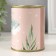 Growing grass "Dream" (eucalyptus)