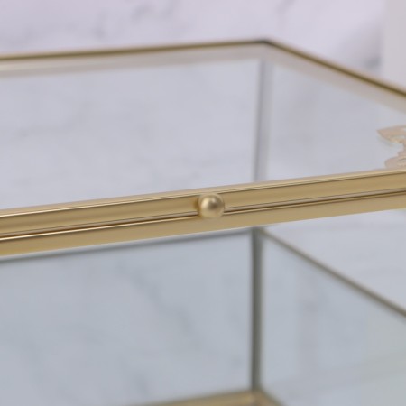 Great organizer for storage, with a lid, glass, with a mirror -bottom, 1 section, 20 × 16 × 6.5 cm, the color is transparent/copper-7