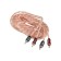 RCA Aura RCA-A150MKII cable, 5 m