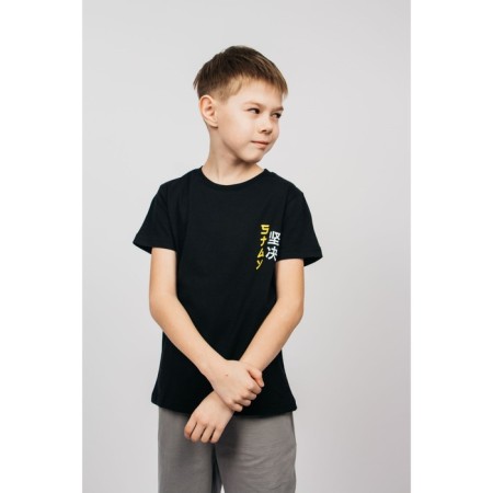T -shirt for a boy, height 152 cm, black color